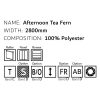 Afternoon Tea Fern