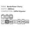 Borderflower Cherry