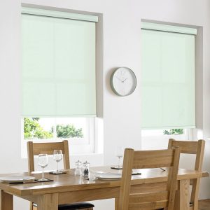 Reagan Aqua Roller Blind