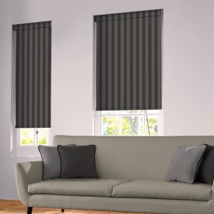 Regal Shadow Roller Blind