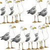 Albatross-Walk-Roller-Blinds